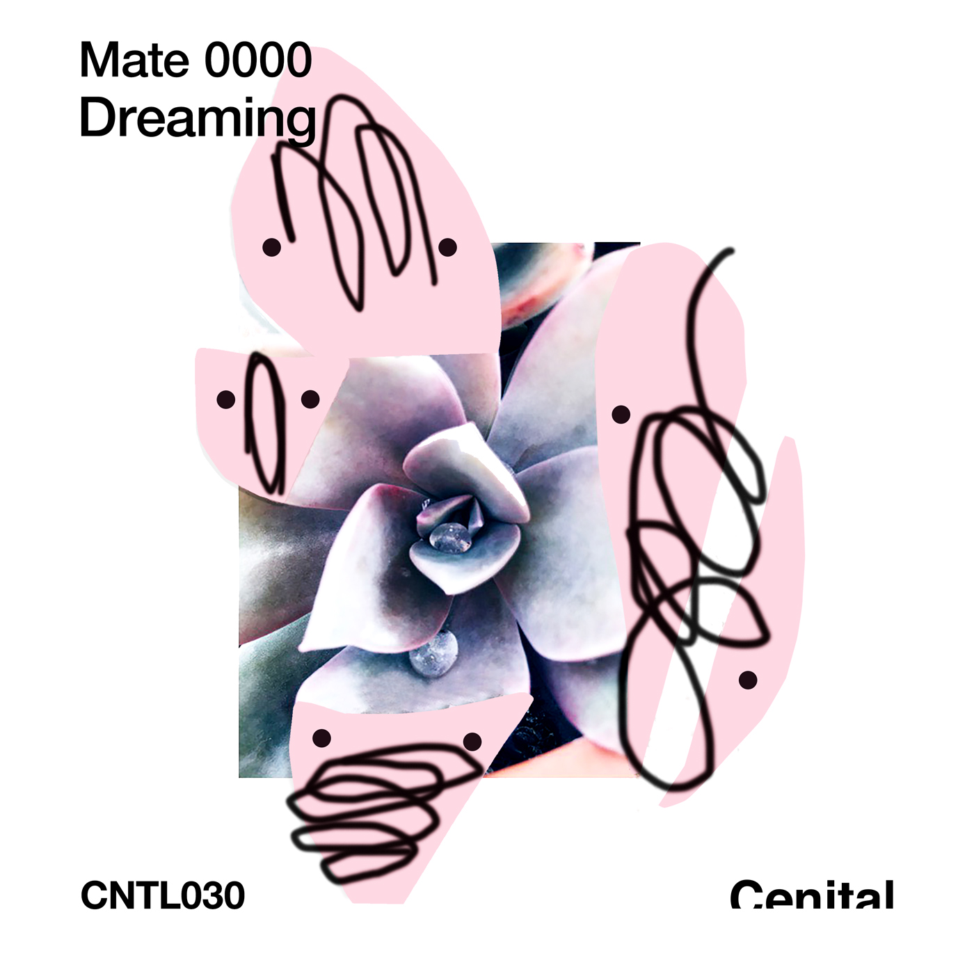 MATE 0000 – Dreaming [CNTL030]