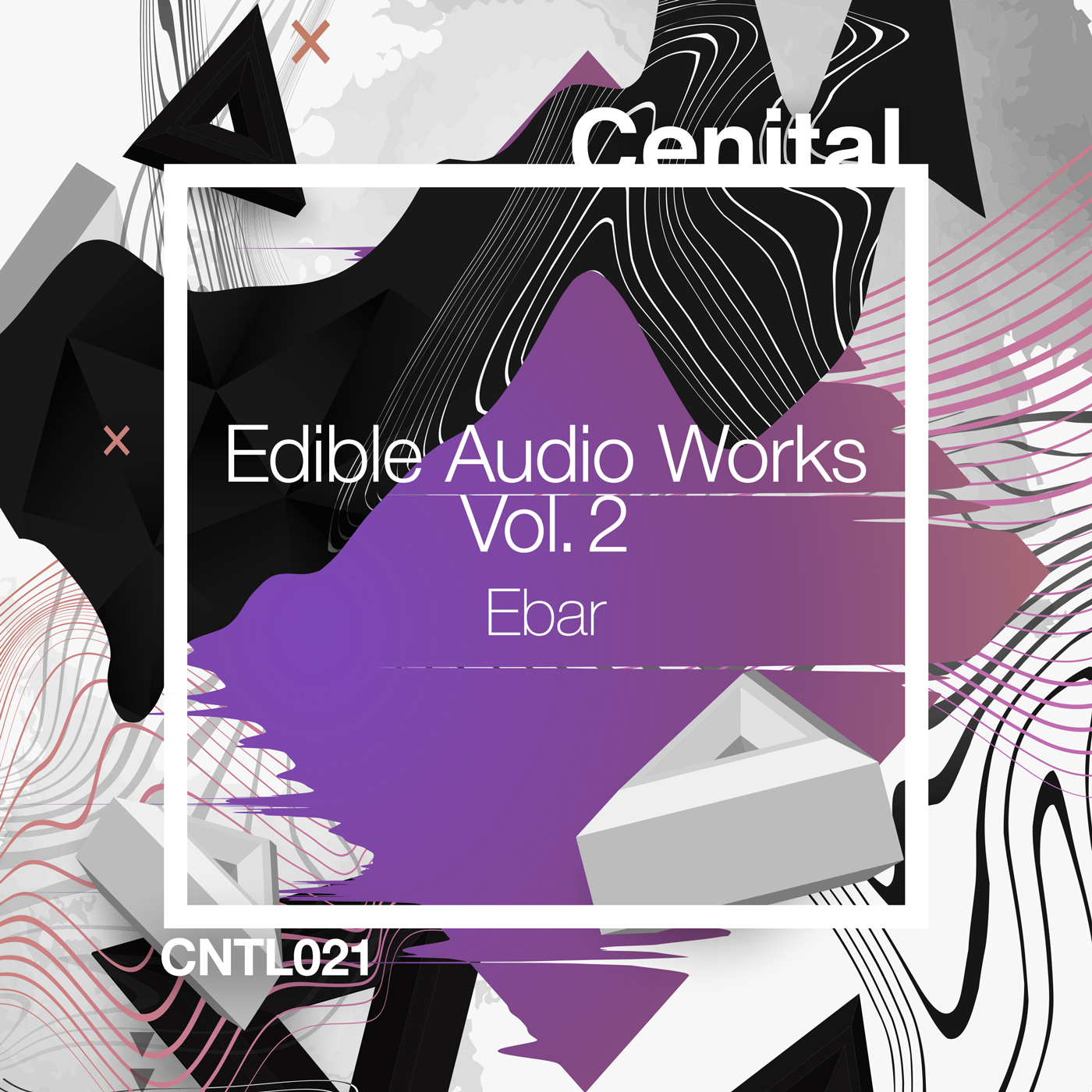 Ebar – Edible Audio Works, Vol.2 [CNTL021]