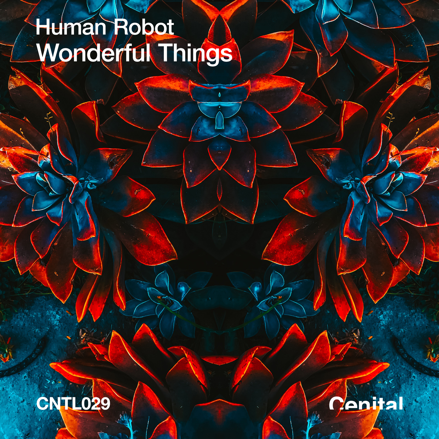 Human Robot – Wonderful Things [CNTL029]